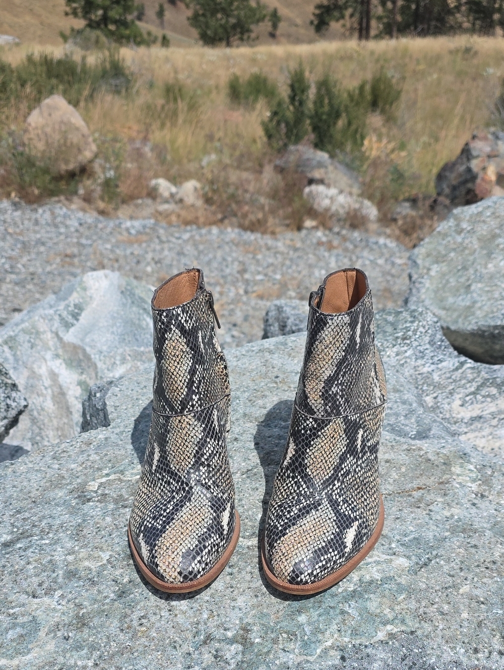Madewell Snake-Print Ankle Booties in Black, Brown & Cream
